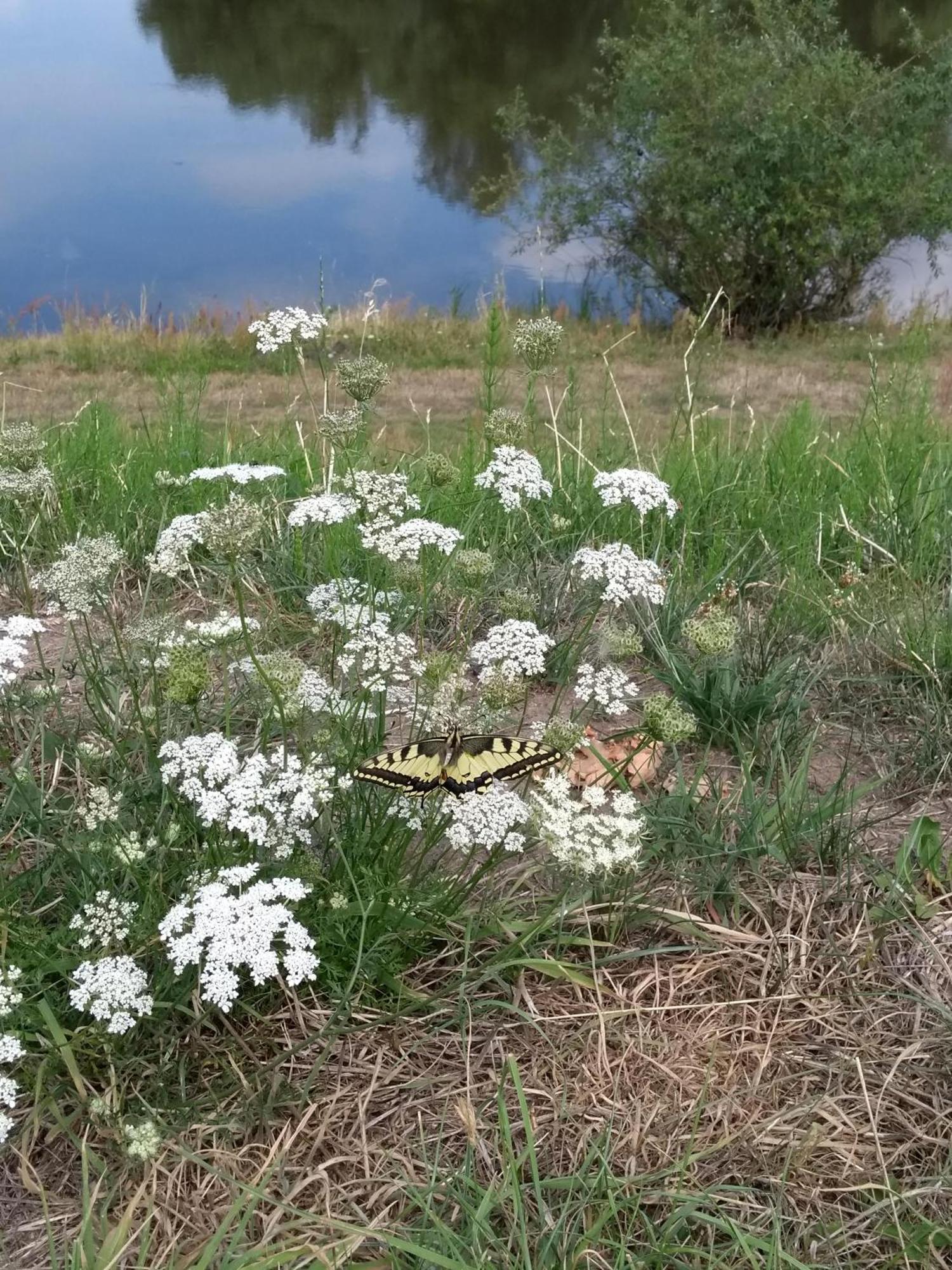 Barforde Kroetenhof Barfoerde מראה חיצוני תמונה
